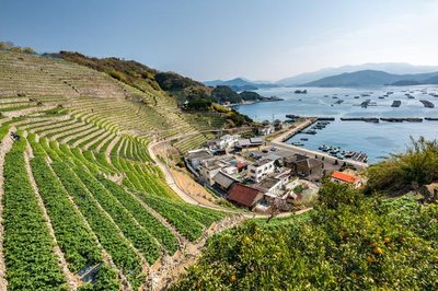 🏞️ 유스미즈가우라 계단식 밭 (유스미즈가우라노단바타) 이미지 2